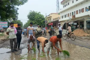 गड्ढों में धान की रोपाई कर जताया विरोध:  बदहाल सड़क पर फूटा लोगो का गुस्सा