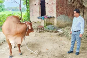 स्वदेशी उन्नत नस्ल के गौ-पालन हेतु 80 हजार से 31.25 लाख तक अनुदान, आवेदन प्रारंभ 