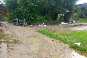 सुल्तानपुर ग्राम पंचायत पलिया में विकास के दावों की पोल — रास्ते गड्ढों में तब्दील