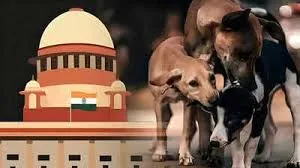 कुत्तों को शीर्ष अदालत ने दी नसबंदी की शर्त पर आजादी! 