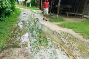 ग्राम पंचायत पलिया में प्रधान की लापरवाही उजागर,  रास्ता गड्ढों में तब्दील