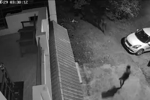 दुद्धी में चोरों का खौफ, सीसीटीवी में कैद हुईं संदिग्ध गतिविधियाँ