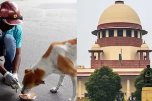 आम आदमी पर फिलहाल आवारा कुत्तों का खतरा बना रहेगा 