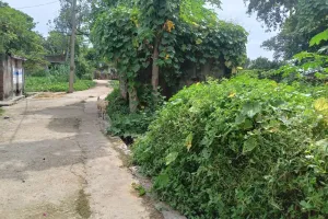 गांवों में सफाई व्यवस्था बदहाल, विभाग मौन