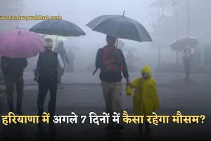 Haryana Weather: हरियाणा में अगले 7 दिनों में कैसा रहेगा मौसम? देखें पूरी वेदर रिपोर्ट 