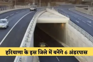 Haryana: हरियाणा में वन्‍य जीवों की सुरक्षा के लिए बनेगा वाइल्‍डलाइफ कॉरिडोर, हाईवे पर बनेंगे 6 अंडरपास