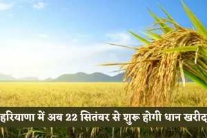 Haryana: हरियाणा में अब 22 सितंबर से शुरू होगी धान खरीद, राइस मिलर्स को बोनस और डिलीवरी में मिली राहत