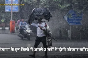 Haryana Weather: हरियाणा के इन जिलों में अगले 3 घंटों में होगी जोरदार बारिश, अलर्ट हुआ जारी 