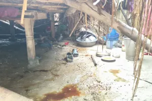 बारिश का कहर: मुनव्वर अली का आशियाना ढहा, सात बकरियां भी मलबे में दबीं