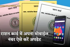 Ration Card: राशन कार्ड में अपना मोबाइल नंबर कैसे करें अपडेट? जानें पूरा प्रोसेस 