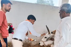 गोपाष्टमी के तहत गौशाला में किया गया गौ माता का पूजन 