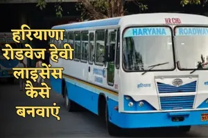 Haryana Roadways Licence: हरियाणा रोडवेज हेवी लाइसेंस कैसे बनवाएं? जानें पूरी डिटेल्स 