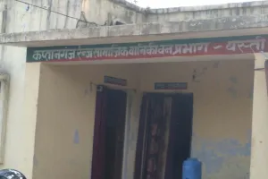 फर्जी वृक्षारोपण कर लाखों डकार गए कप्तानगंज में वन विभाग के जिम्मेदार नीद में डीएफओ