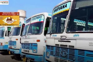 Haryana Roadways License: हरियाणा रोडवेज हैवी लाइसेंस कैसे बनाएं, देखें पूरा प्रोसेस