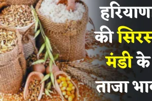 Mandi Bhav: हरियाणा की सिरसा मंडी के ताजा भाव जारी, देखें आज के नए रेट