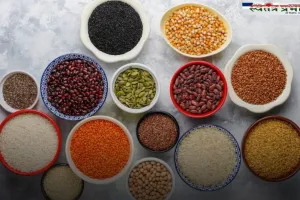 Mandi Bhav: हरियाणा की सिरसा मंडी के ताजा भाव जारी, देखें आज के नए रेट