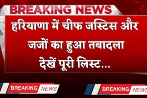 Haryana Transfer 2025: हरियाणा में चीफ जस्टिस और जजों का हुआ तबादला, देखें पूरी लिस्ट 