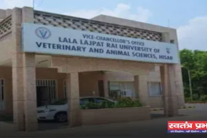 Haryana: हरियाणा में पशुपालकों के लिए लुवास ने दी सलाह, बीमारियों से पशुओं का ऐसे करें बचाव  