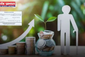 Life Certificate: अगर 6 दिन में जमा नहीं किया ये कागजात तो बंद होगी आपकी पेंशन, घर बैठे करें यह काम