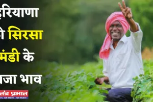 Mandi Bhav: हरियाणा की सिरसा मंडी के ताजा भाव जारी, देखें सभी फसलों के नए रेट