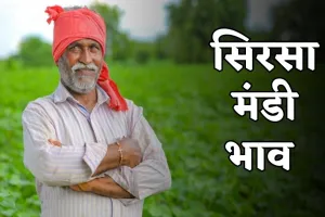 Sirsa Mandi Bhav: हरियाणा की सिरसा मंडी में फसलों के ताजा भाव हुए जारी, यहां देखें	