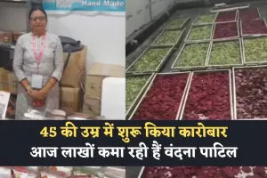 Success Story: 45 की उम्र में बिजनेस किया शुरू, आज लाखों कमा रही हैं वंदना पाटिल