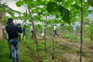 डीएम एवं सीडीओ के मार्गदर्शन में अमेठी के किसानों ने की नवाचार खेती की मिसाल पेश