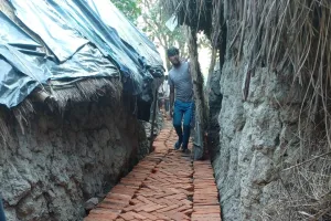 लाखों की लागत से बन रहा खड़ंजा पीली ईंटों का जमकर प्रयोग गुणवत्ता पर उठे सवाल