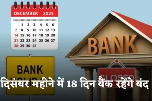 Bank Holidays: जल्दी निपटा लें जरूरी काम, दिसंबर महीने में 18 दिन बैंक रहेंगे बंद 