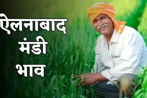 Ellenabad mandi Bhav: हरियाणा की ऐलनाबाद मंडी में इस रेट पर बिकी फसलें, चेक करें लेटेस्ट भाव 