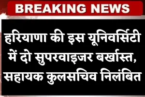 Haryana: हरियाणा की इस यूनिवर्सिटी में दो सुपरवाइजर बर्खास्त, सहायक कुलसचिव निलंबित, जानें पूरा मामला 