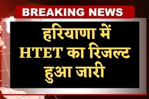 HTET Result 2025: हरियाणा में HTET का रिजल्ट हुआ जारी, यहां करें चेक 