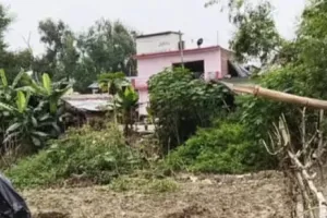 बस्ती सरकारी जमीनों पर दबंगों का कब्जा, गरीब बेघर -अवैध कब्जे: नवागत जिलाधिकारी के लिए बड़ी चुनौती..