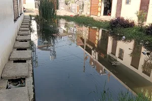 नगर पंचायत बख्शी का तालाब के वार्ड नं 9 में गंदा पानी बना मुसीबत