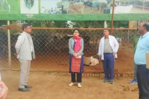 सीडीओ ने अस्थायी गौआश्रय स्थल देवली का किया औचक निरीक्षण, अव्यवस्थाओं पर जताई कड़ा नाराजगी