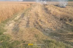 मनरेगा को मोहरा बनाकर लूट में जुटे सचिव एवं ग्राम प्रधान