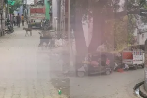 बस्ती शहर में धड़ल्ले से आ रहा प्रतिबन्धित मांस, जानकारी के बावजूद कोतवाली पुलिस निष्क्रिय