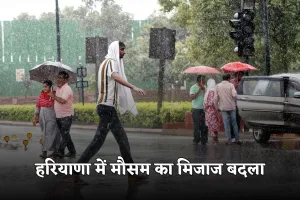 Haryana Weather: हरियाणा में मौसम का मिजाज बदला, बारिश से बढ़ी ठंड