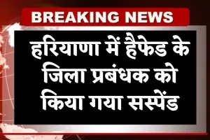 Haryana: हरियाणा में हैफेड के जिला प्रबंधक को किया गया सस्पेंड, जानें पूरा मामला 