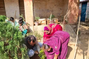 उत्क्रमित मध्य विद्यालय नावाडीह में महात्मा ज्योतिबा फुले की पुण्यतिथि पर श्रद्धांजलि, वृक्षारोपण और जागरूकता कार्यक्रम आयोजित