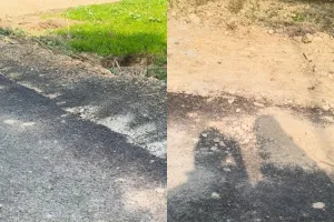 महेज 15 दिन में बनी रोड़ की उखड़ने लगी बजरी।