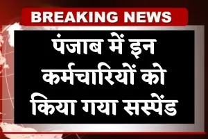 Punjab News: पंजाब में इन कर्मचारियों को किया गया सस्पेंड, जानें क्या है वजह 