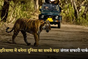 Haryana: हरियाणा में बनेगा दुनिया का सबसे बड़ा जंगल सफारी पार्क, 10 हजार एकड़ में तैयार होगा मेगा प्रोजेक्ट