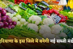 Haryana: हरियाणा के इस जिले में बनेगी नई सब्जी मंडी, 11 एकड़ में होगा निर्माण 