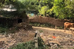 हैंडपंप घोटाले ने खोली पोल, अब उठ रही मांग—जिले के सभी 16 ब्लॉकों में हो व्यापक जांच