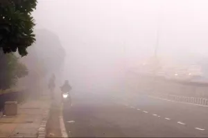 उत्तर भारत - कोहरे के कोहराम से फना होती जिन्दगी ! 