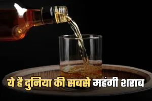 Expensive Whisky: ये है दुनिया की सबसे महंगी शराब, कीमत जानकर उड़ जाएंगे होश 