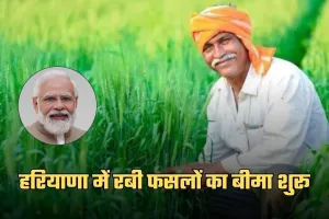 Fasal Bima Yojana: हरियाणा में रबी फसलों का बीमा शुरू, 31 दिसंबर तक करा सकेंगे आवेदन