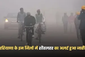 Haryana Weather: हरियाणा में बदला मौसम, इन जिलों में शीतलहर का अलर्ट हुआ जारी 