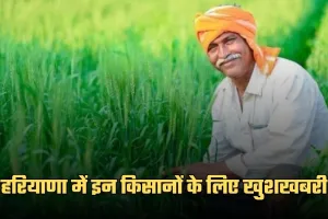 Haryana: हरियाणा में इन किसानों के लिए खुशखबरी, सरकार ने जारी किए 380 करोड़ रुपये 